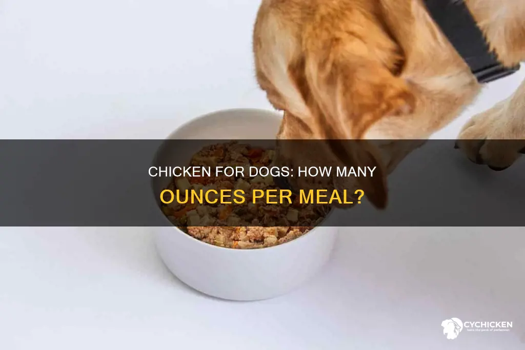 how many ounces of chicken in one meal for dog