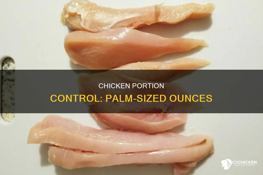 how many ounces of chicken is a palm size