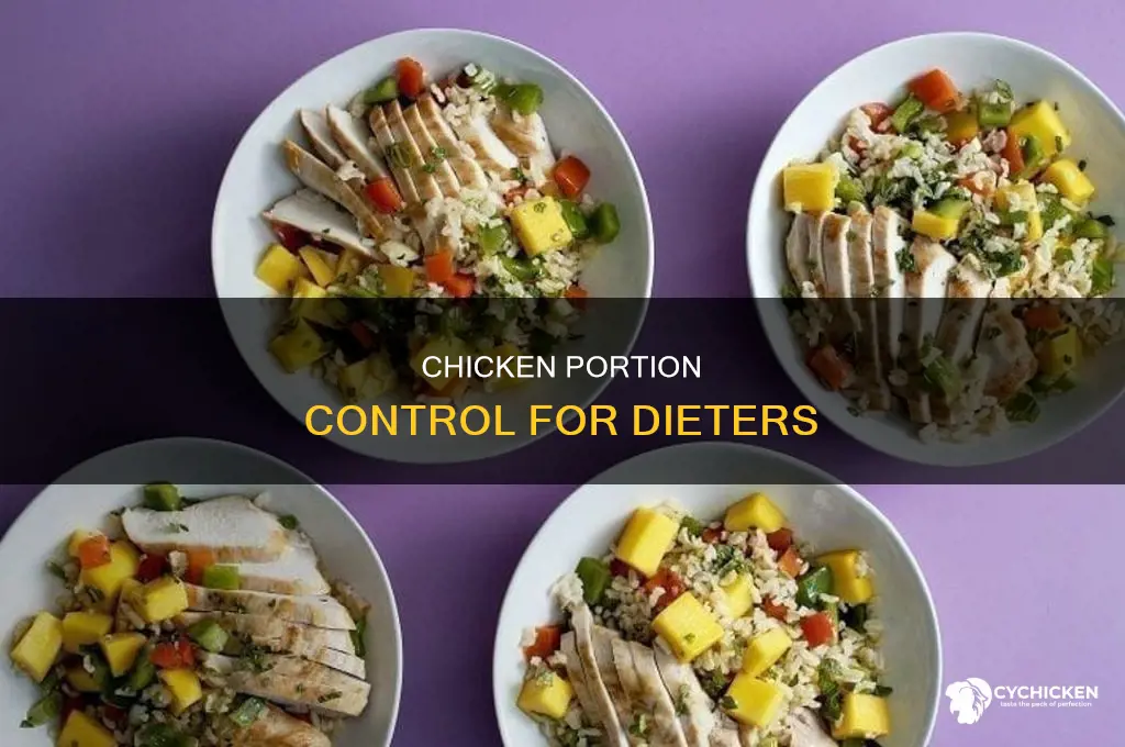 how many ounces of chicken on a diet