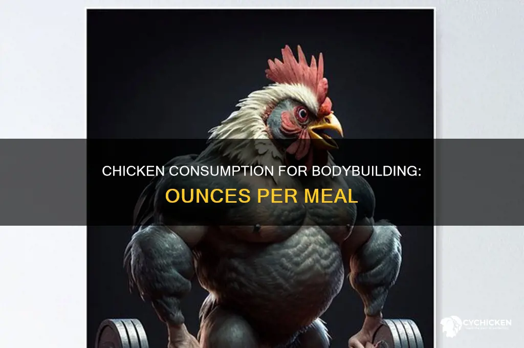 how many ounces of chicken per meal bodybuilding