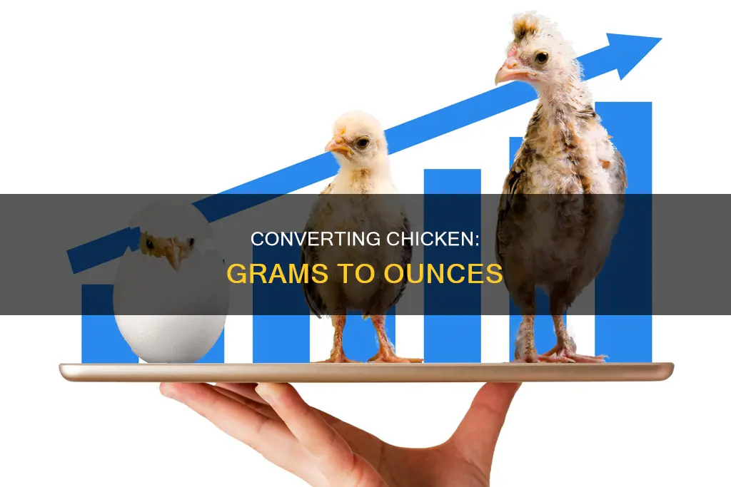 how many ounces of of chicken in 14 grams