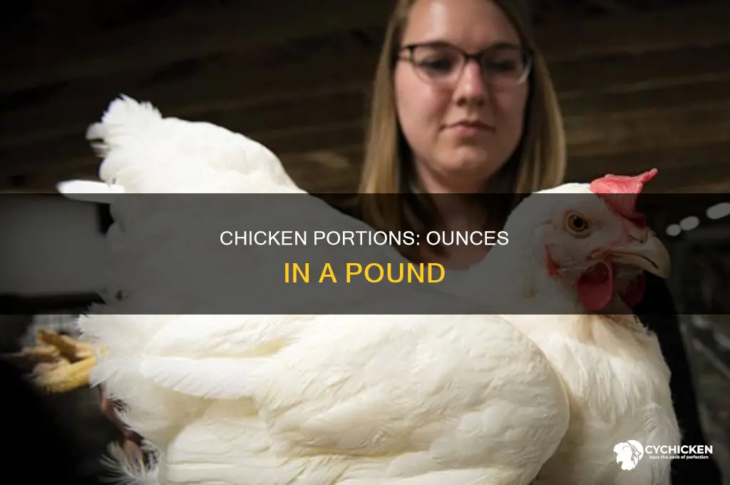 how many oz in 1 lb of chicken