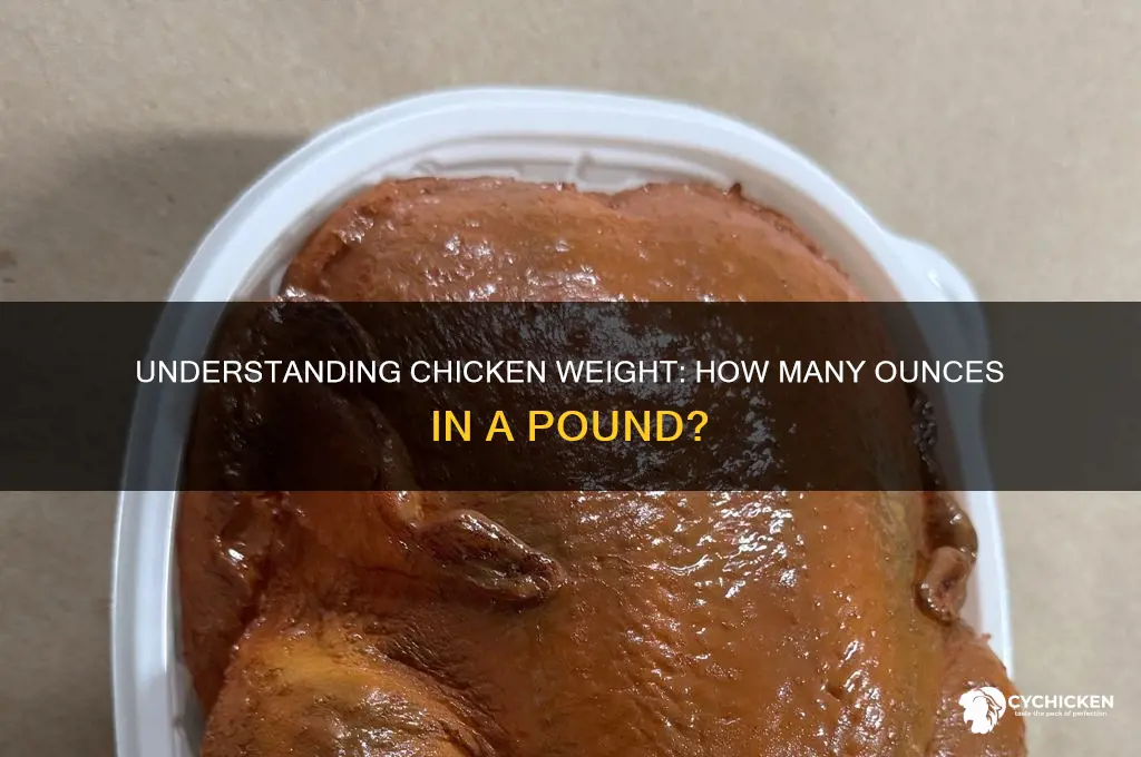 how many oz is a poudn of chicken