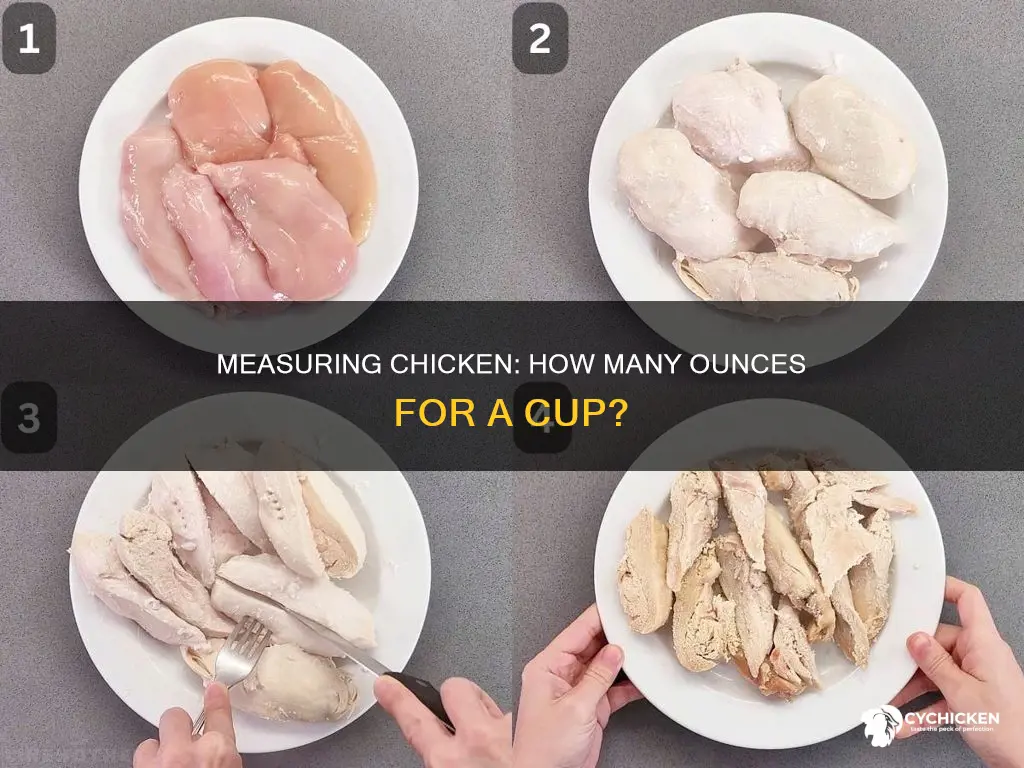 how many oz of chicken are in a cup