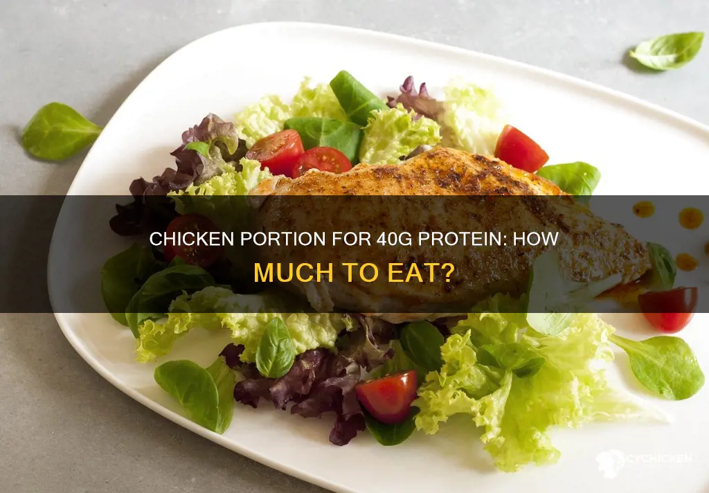 how many oz of chicken for 40 grams of protein