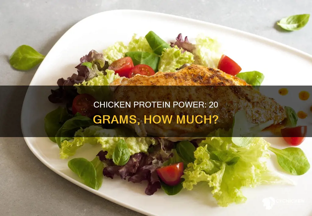 how many oz of chicken is 20 grams of protein