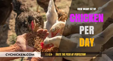 Daily Chicken Intake: How Many Ounces Should You Consume?