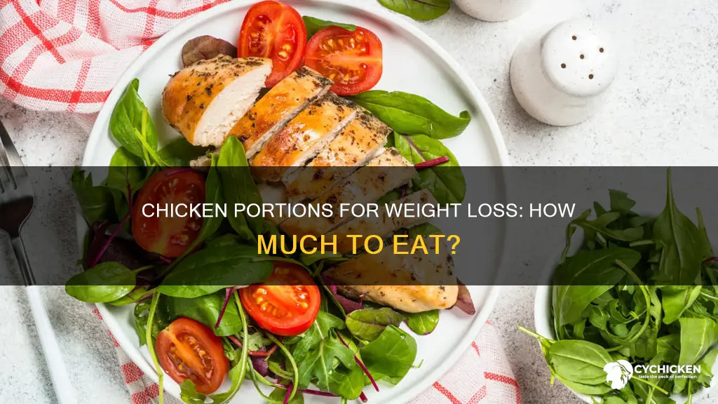 how many oz of chicken per meal to lose weight