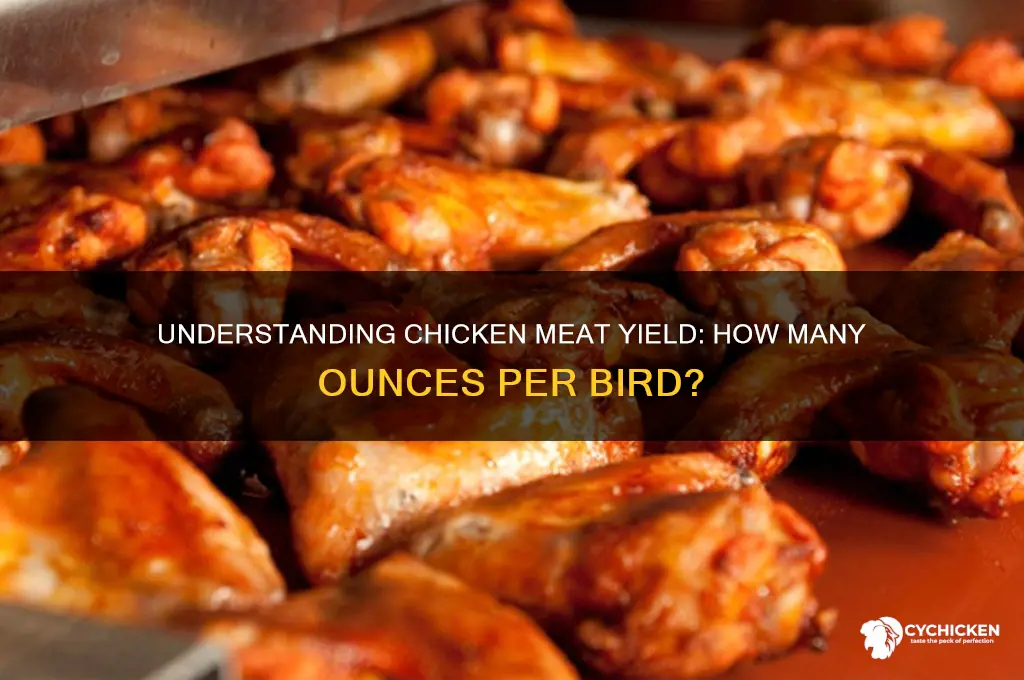 how many oz of meat on a chicken