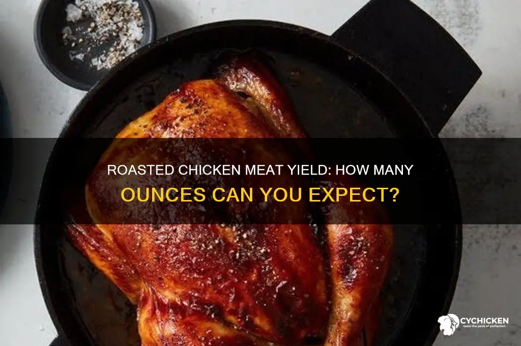 how many oz of meat on a roasted chicken