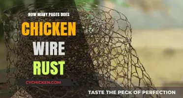 Understanding Chicken Wire Rust: Pages of Corrosion Over Time