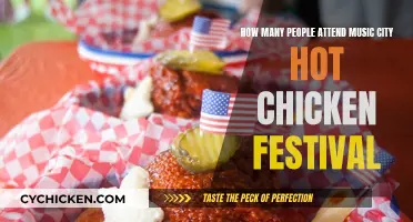 Music City Hot Chicken Festival: A Massive Turnout
