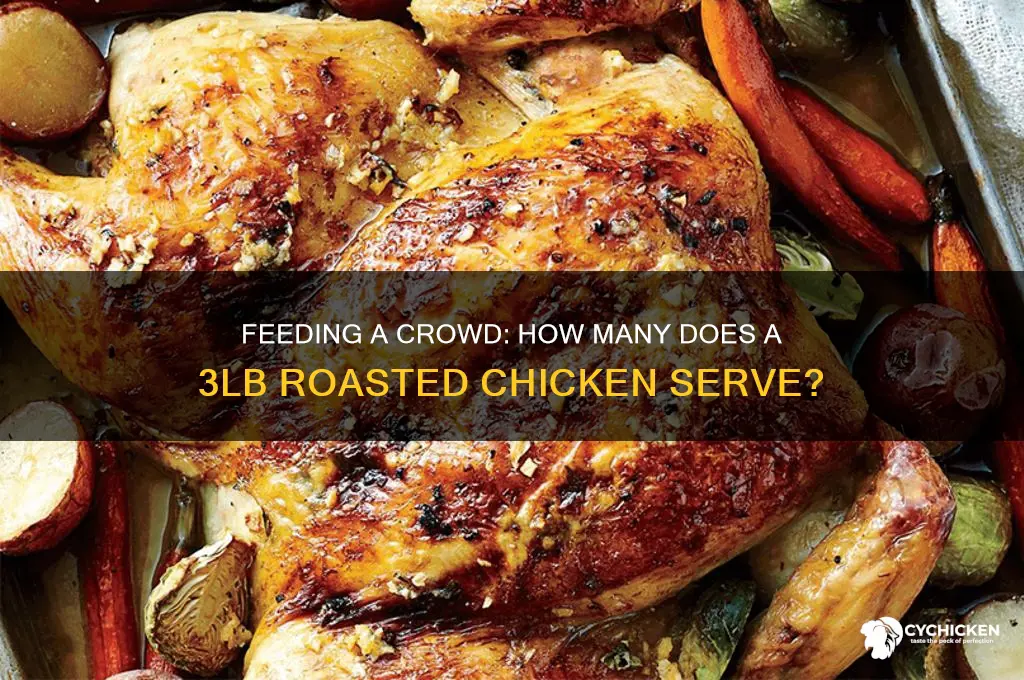 how many people can a 3lb roasted chicken feed