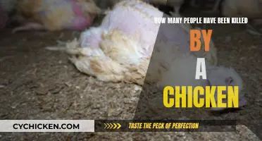 Chicken-Related Deaths: A Surprising Body Count