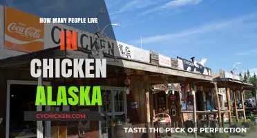 Discovering the Population of Chicken, Alaska: A Tiny Town's Story