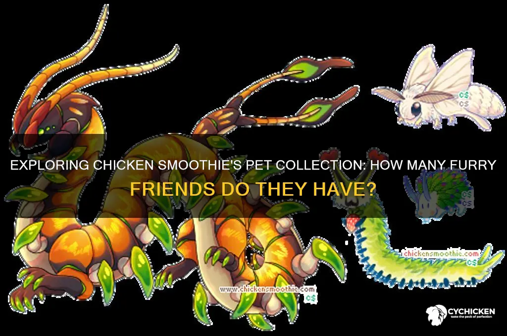 how many pets does chicken smoothie have