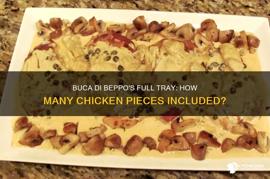 how many pieces chicken full tray buca