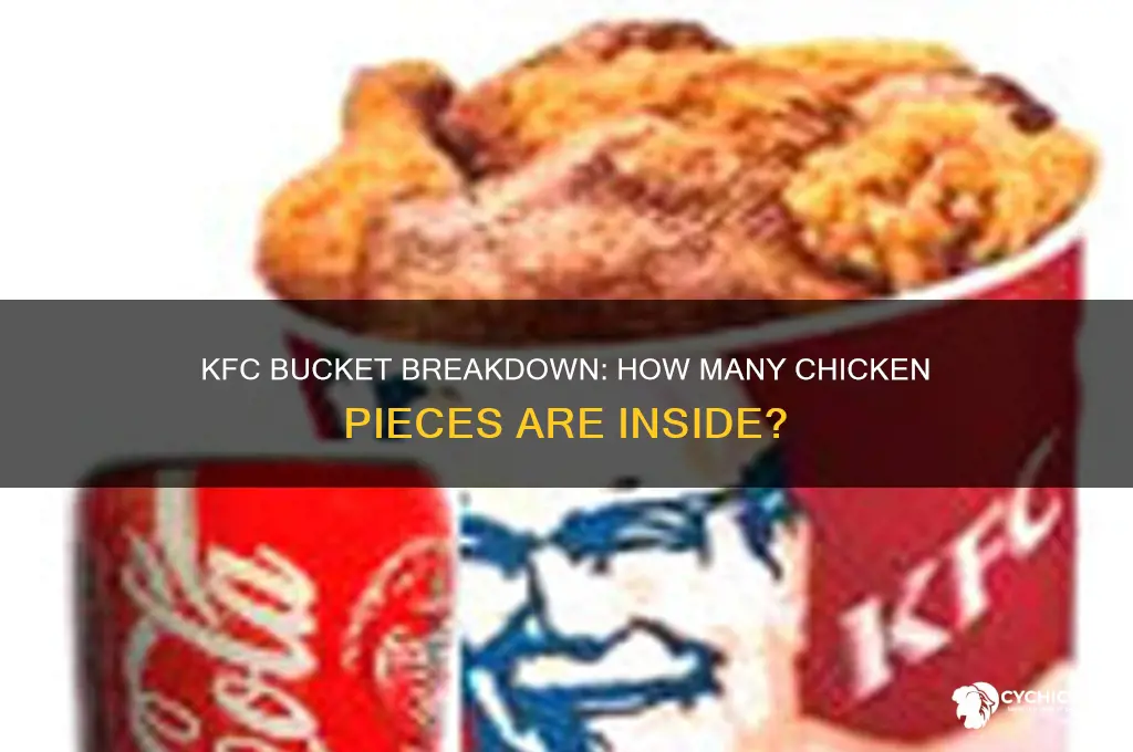 how many pieces chicken in kfc bucket