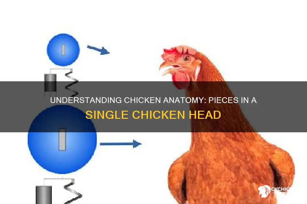 how many pieces in one head of chicken