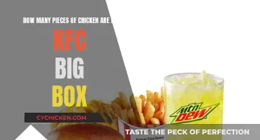 Unboxing KFC's Big Box: How Many Chicken Pieces?