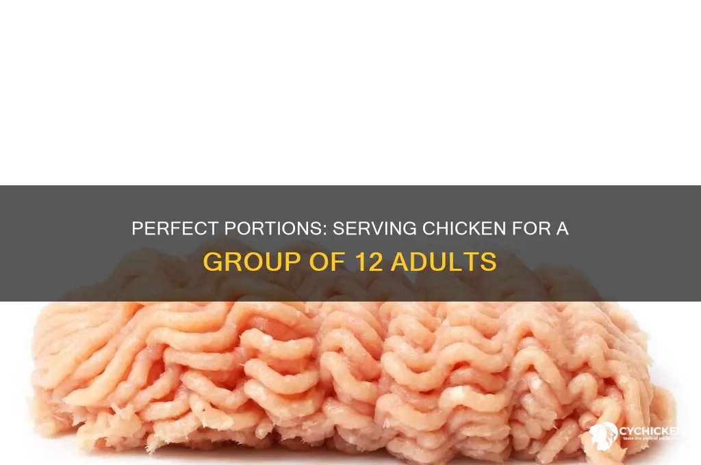 how many pieces of chicken for 12 adults