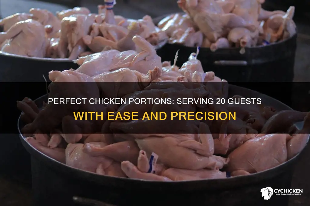 how many pieces of chicken for 20 guests