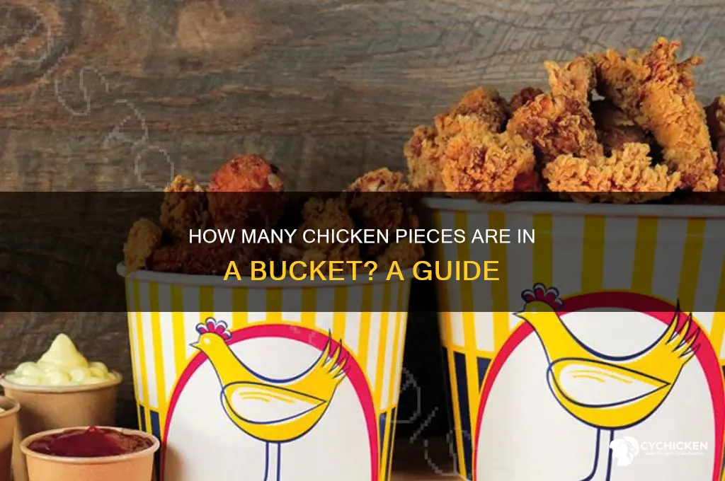 how many pieces of chicken in a bucket