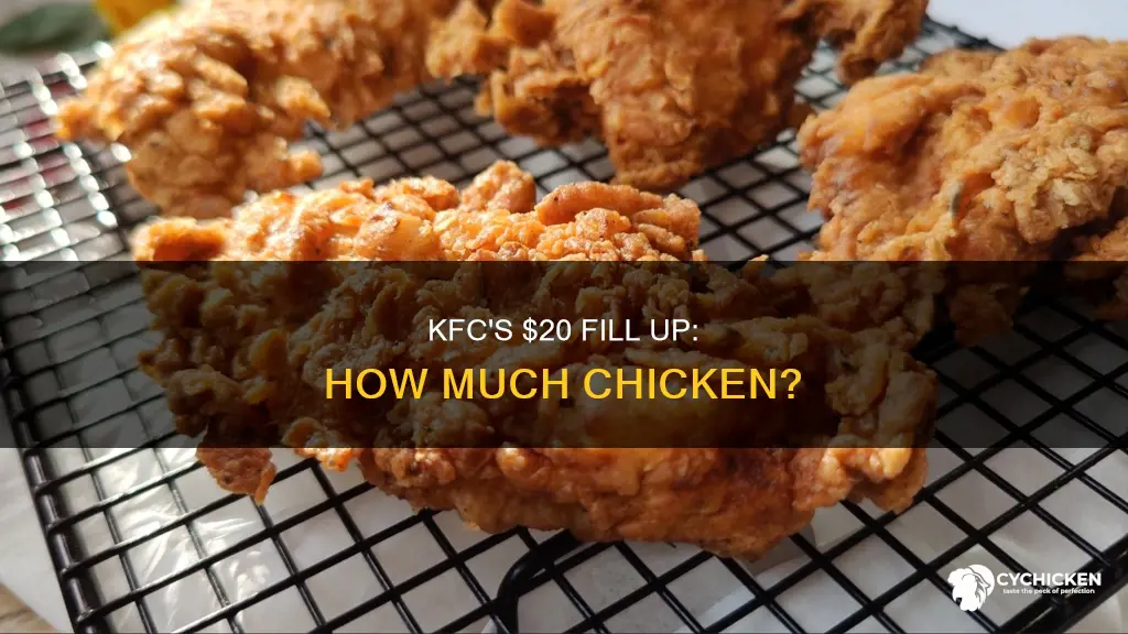 how many pieces of chicken in kfc $20 fill up