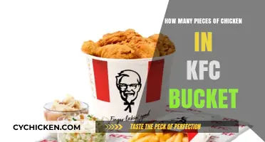 KFC Bucket Mystery: Unveiling the Chicken Pieces Count Inside