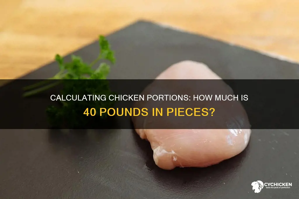 how many pieces of chicken is 40 pounds