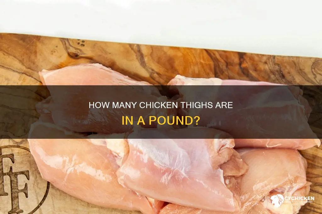 how many pieces of chicken thigh is 1 pound