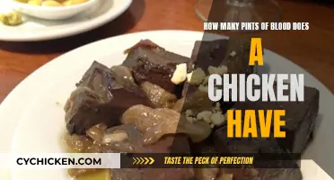 Chicken Blood: How Many Pints Does It Take?