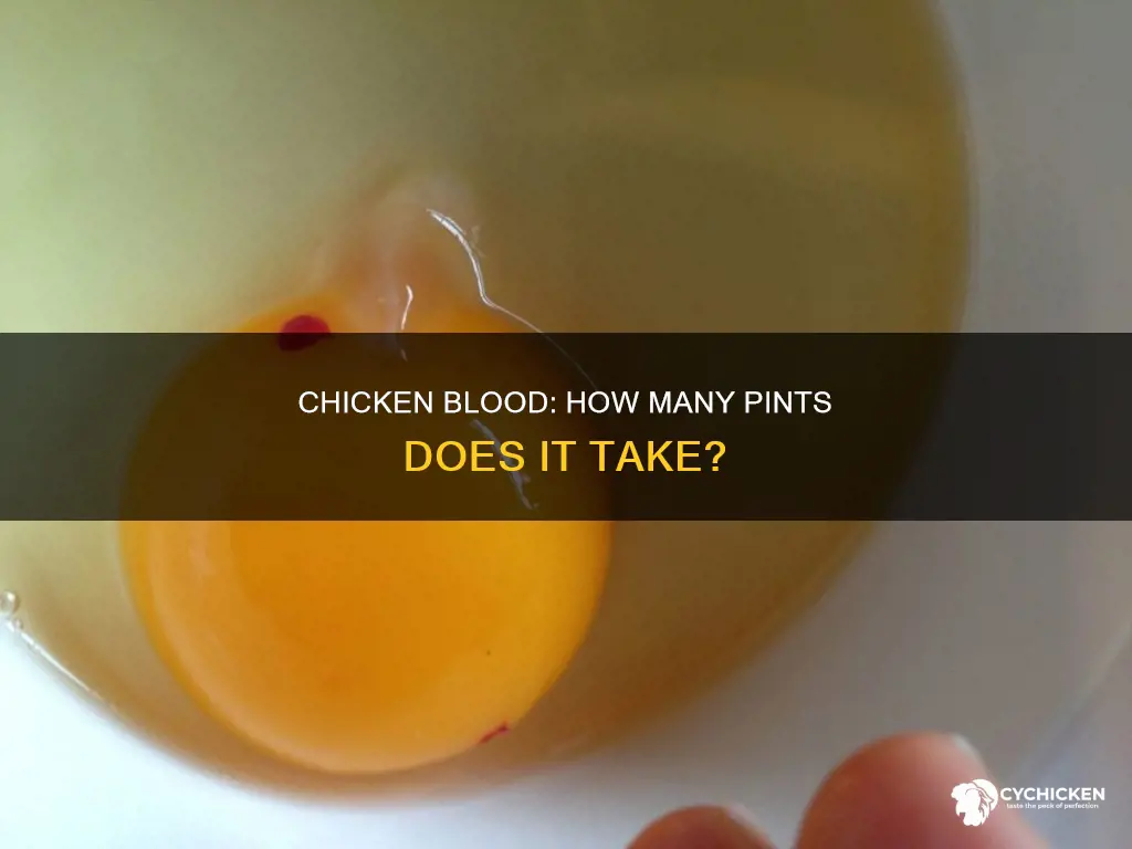 how many pints of blood does a chicken have