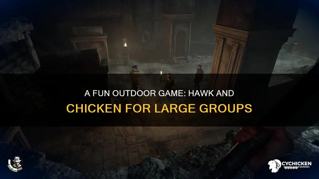 how many players is needed for hawk and chicken