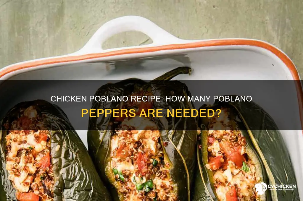 how many poblano peppers in chicken poblano