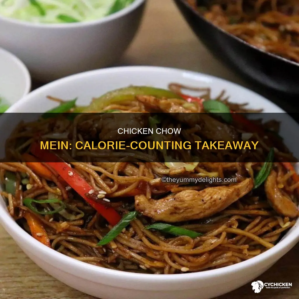 how many points in a takeaway chicken chow mein