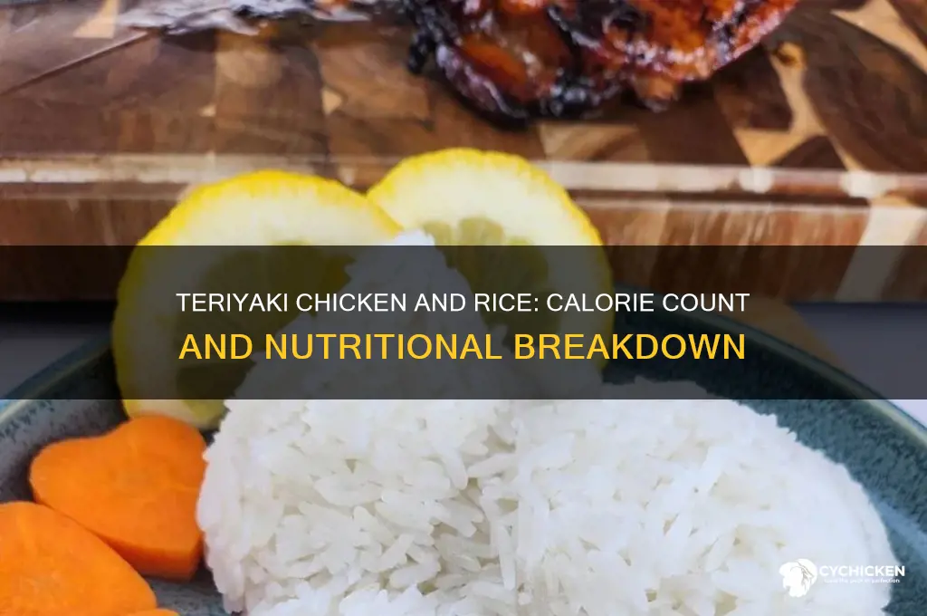 how many points in teriyaki chicken and rice