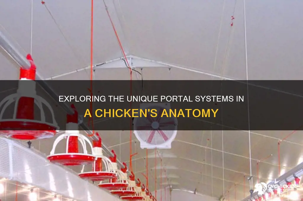 how many portal systems does a chicken have