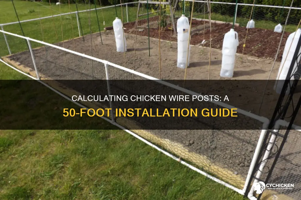 how many posts per 50 of chicken wire