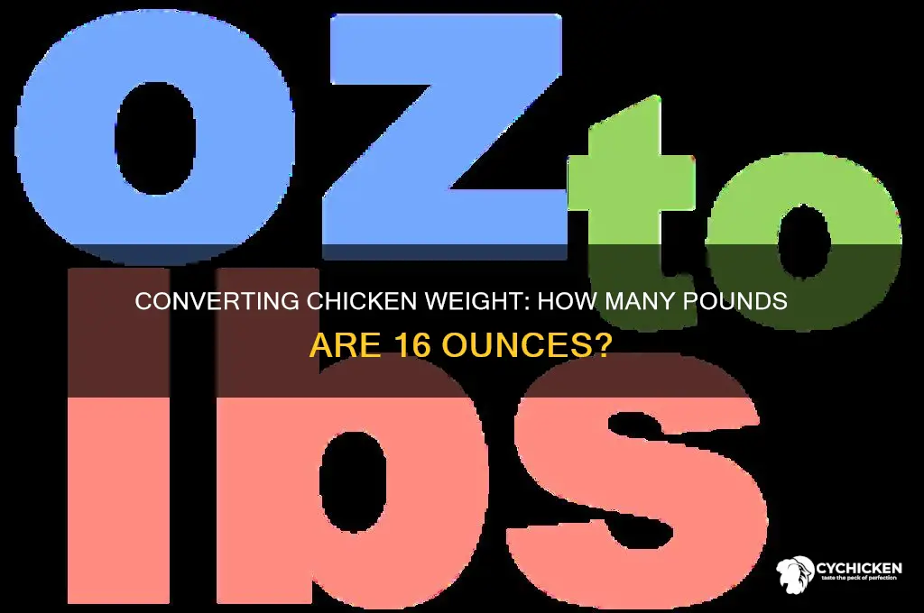 how many pound is 16 ounxes of chicken