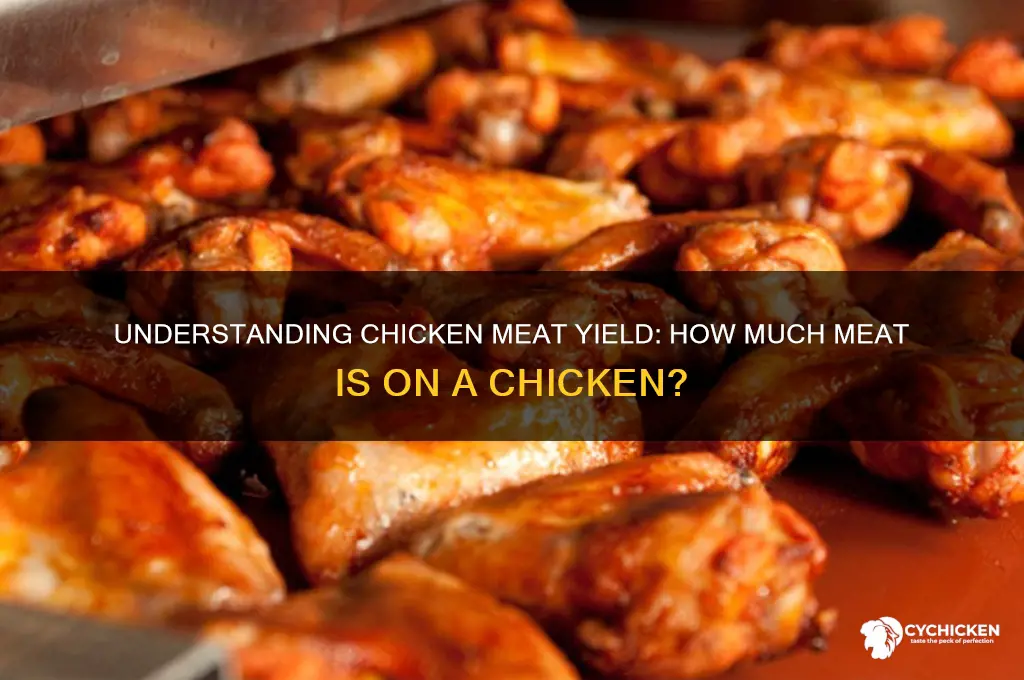 how many pound of meat on a chicken
