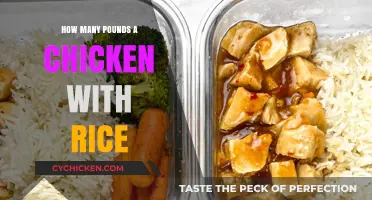 Perfect Portions: Chicken and Rice Serving Sizes Explained