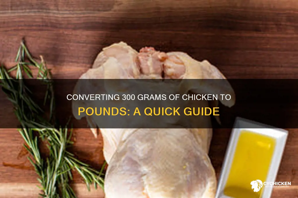 how many pounds are 300 grams of chicken