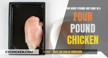Chicken Anatomy: How Many Pounds of Bones?