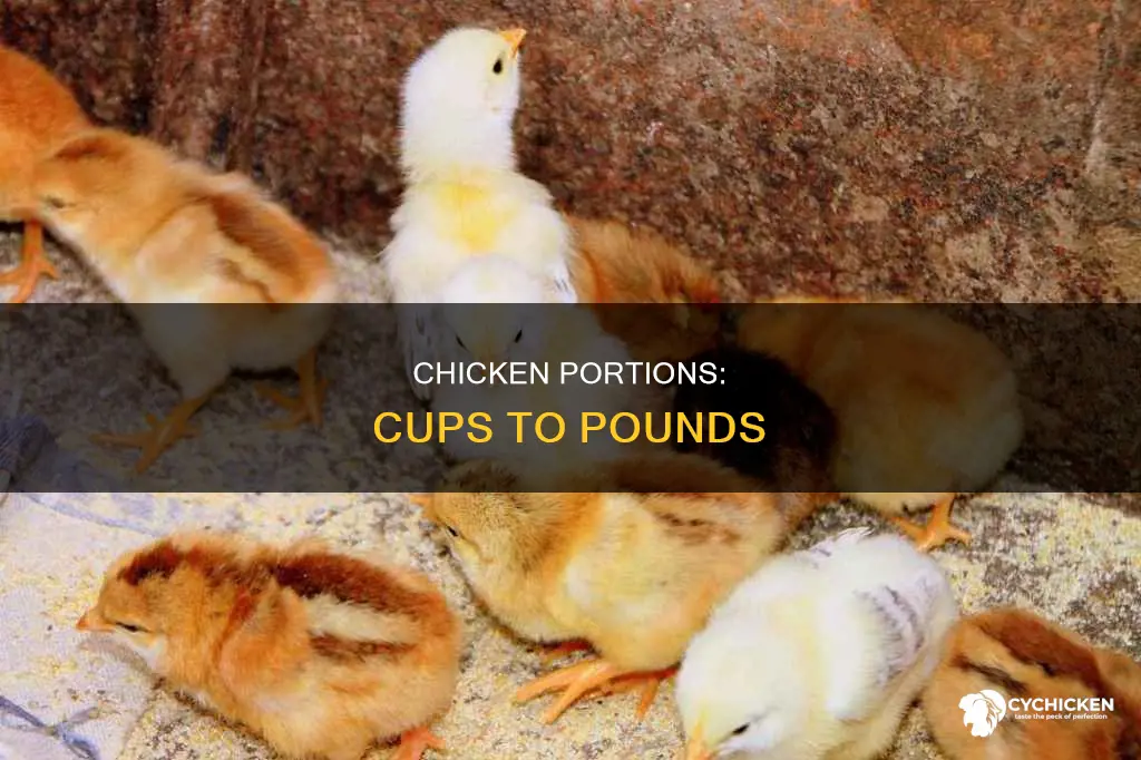 how many pounds are in a cup of chicken