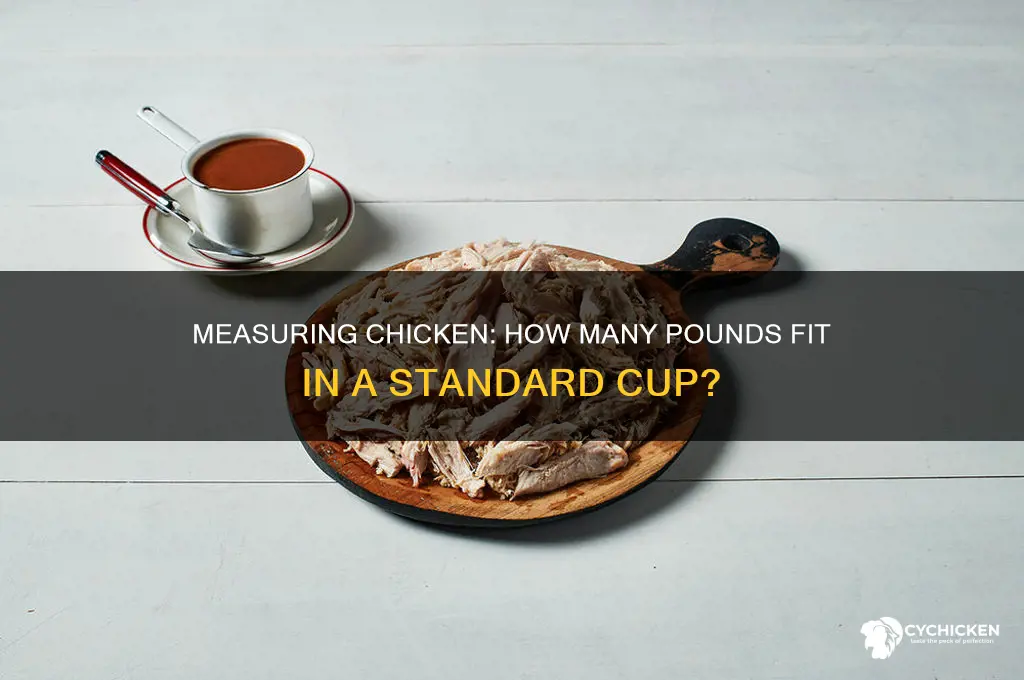 how many pounds chicken in a cup