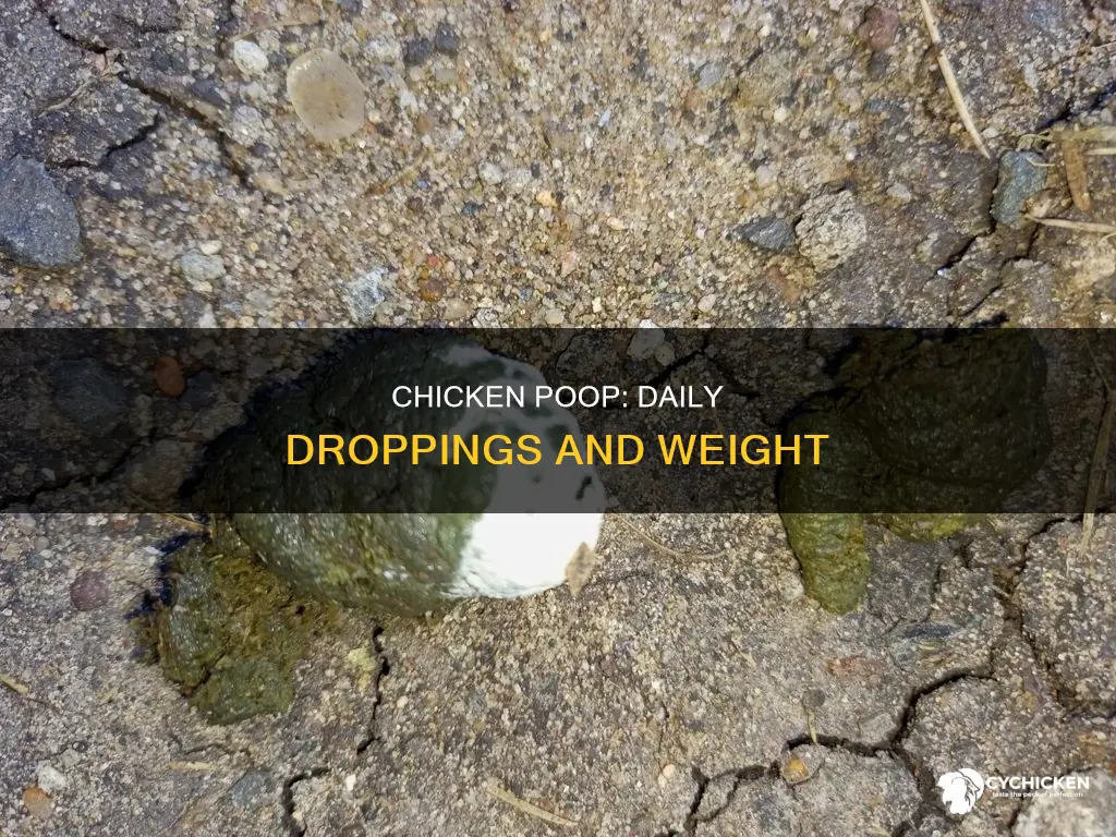 how many pounds does a chicken poop a day