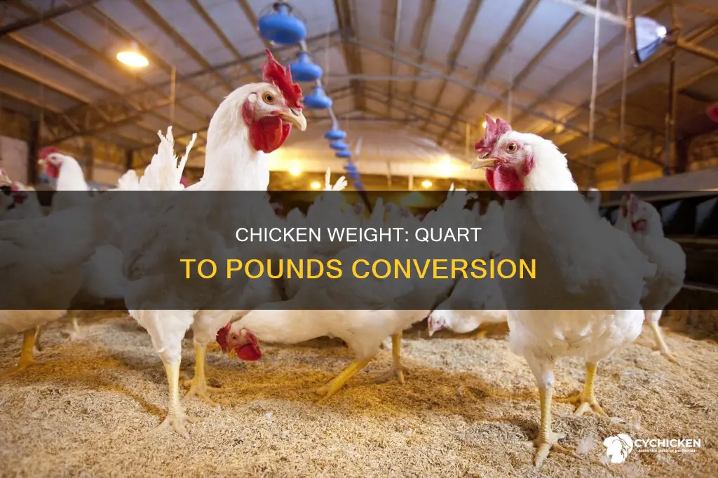 how many pounds does a quart of chicken weigh