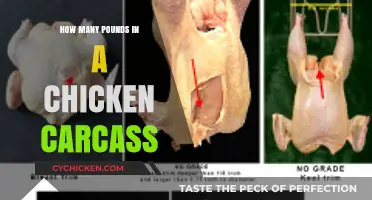 Unveiling the Weight: How Many Pounds in a Chicken Carcass?