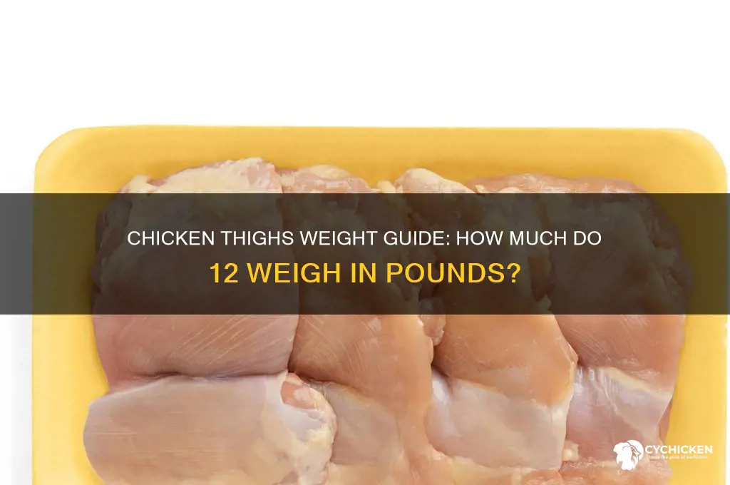 how many pounds is 12 chicken thighs